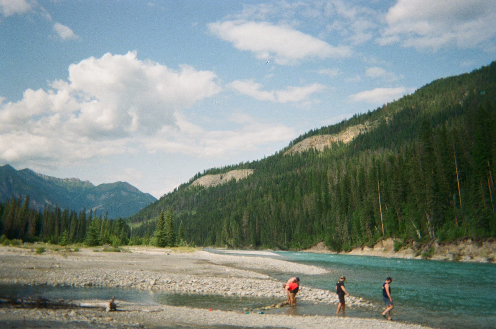 Building a driftwood dam along the Kootenay River shoreline