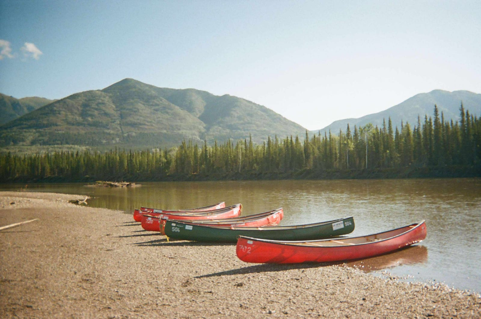 Paddlers launching canoes onto the Pelly River in Yukon
